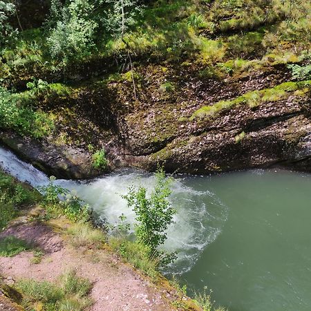 Vila Zapis - Zavojsko Jezero Pirot Bagian luar foto