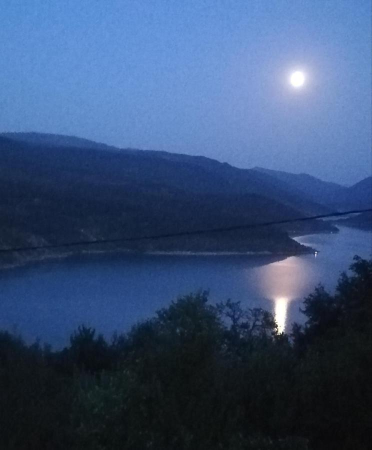 Vila Zapis - Zavojsko Jezero Pirot Bagian luar foto