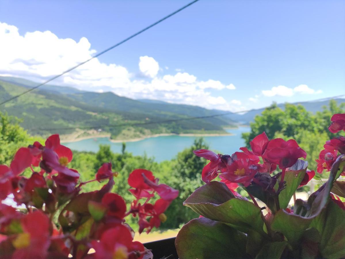 Vila Zapis - Zavojsko Jezero Pirot Bagian luar foto