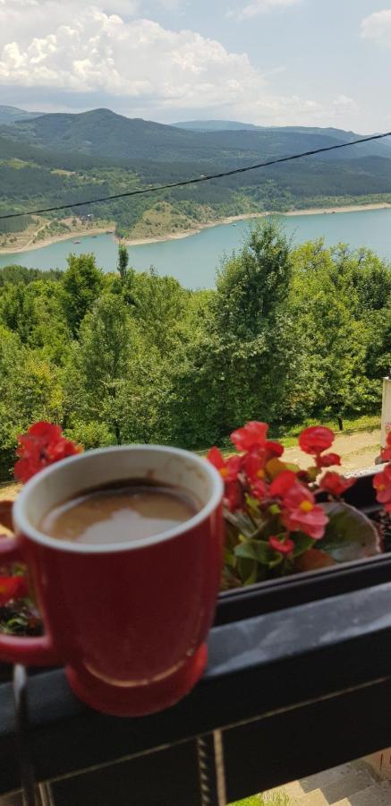 Vila Zapis - Zavojsko Jezero Pirot Bagian luar foto