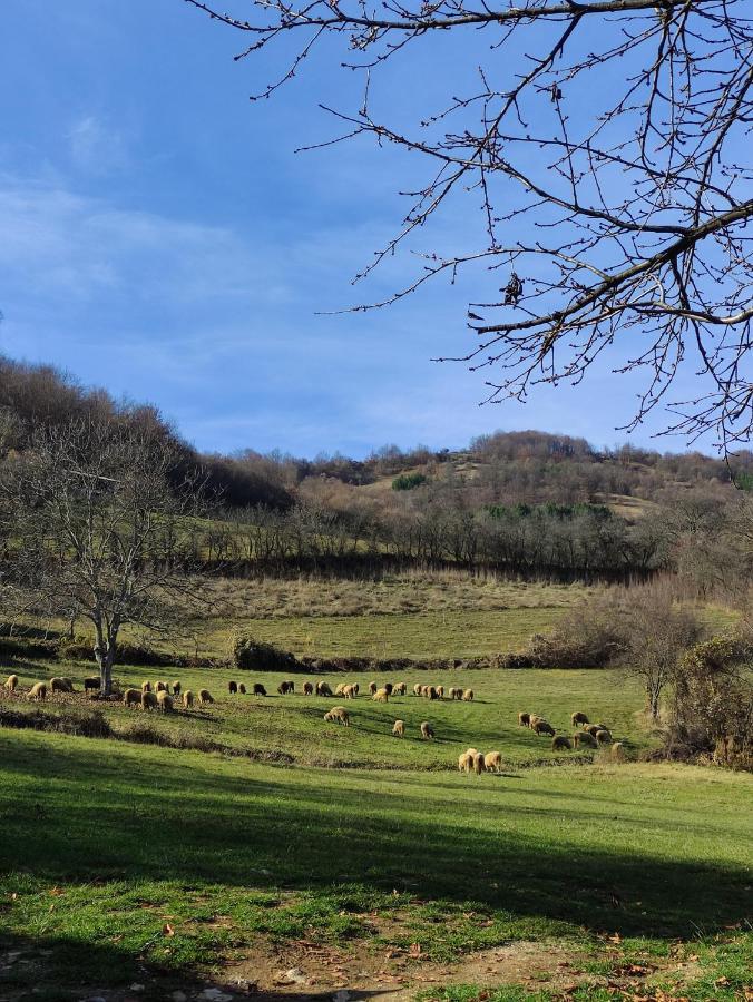 Vila Zapis - Zavojsko Jezero Pirot Bagian luar foto