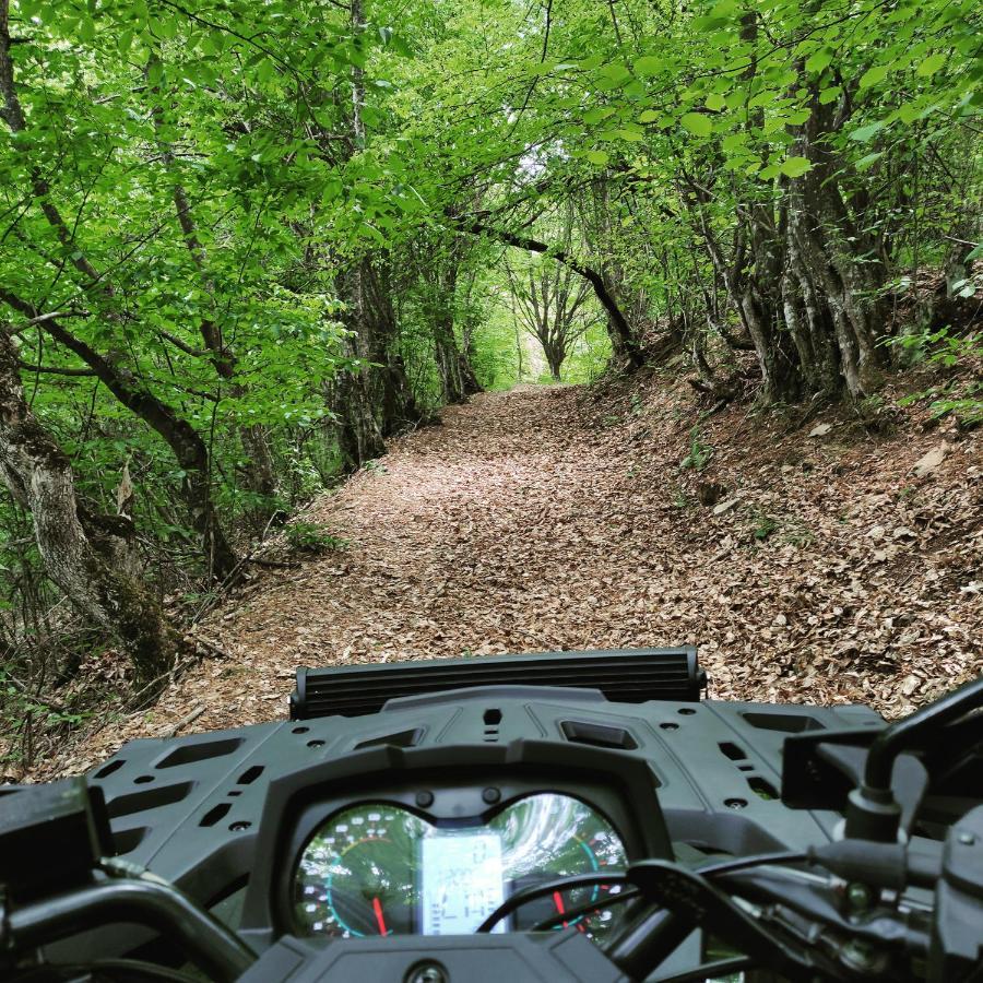 Vila Zapis - Zavojsko Jezero Pirot Bagian luar foto
