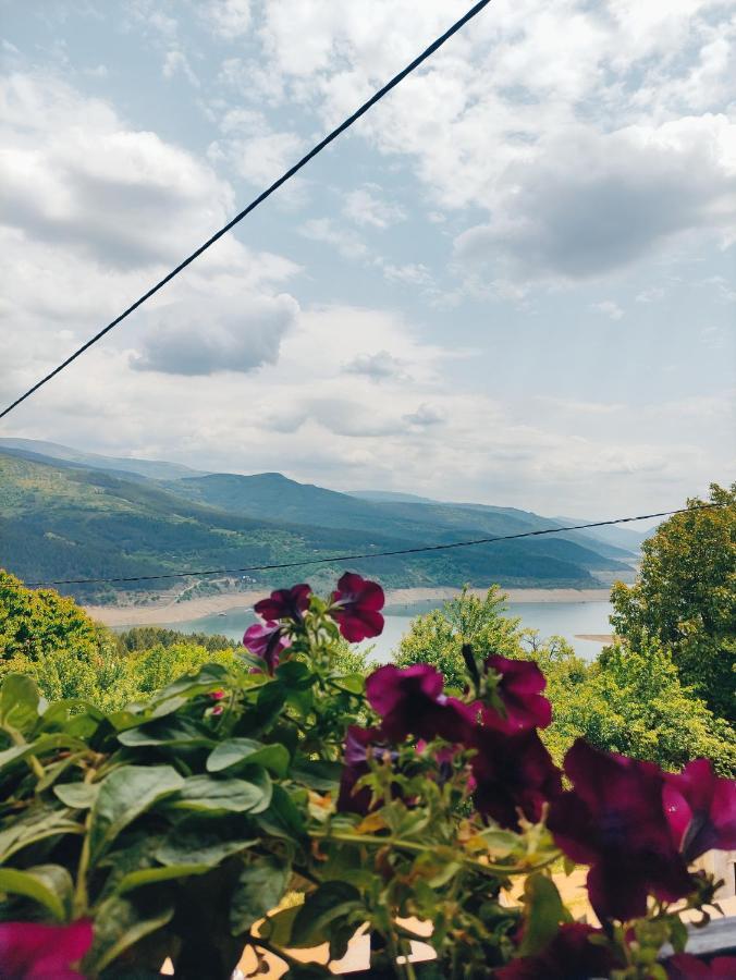 Vila Zapis - Zavojsko Jezero Pirot Bagian luar foto